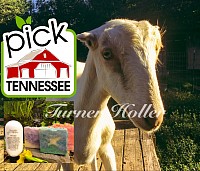 We are part of the Pick Tennessee program!