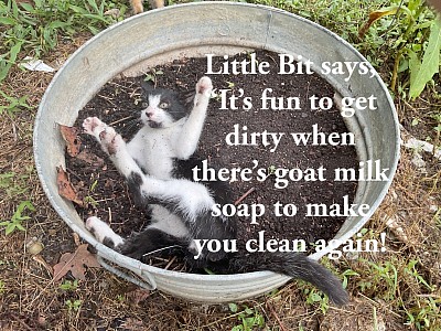 Lotion, soap morning sun